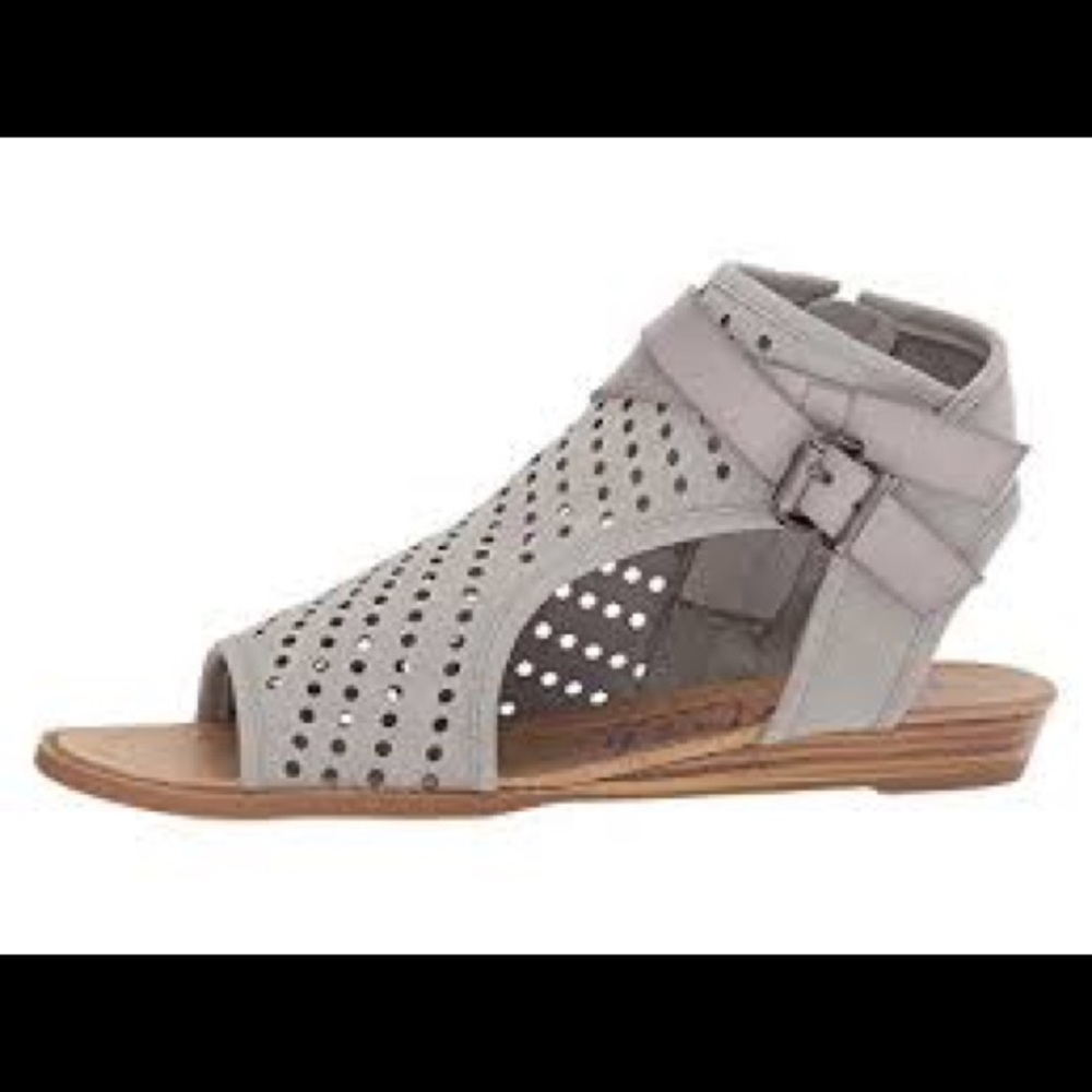 New blow fish Balla– B in ash sport